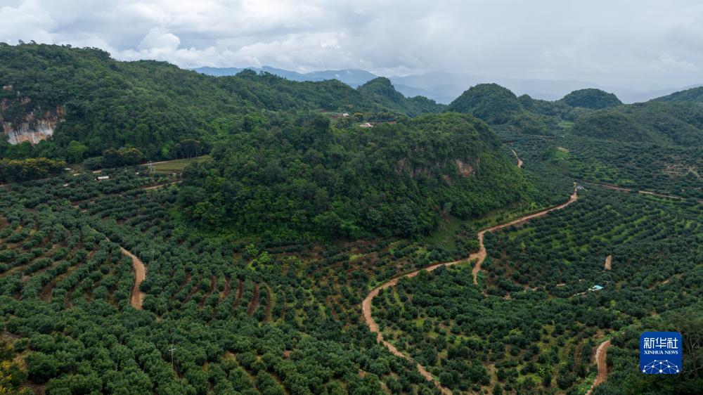 大同dq游戏大厅下载